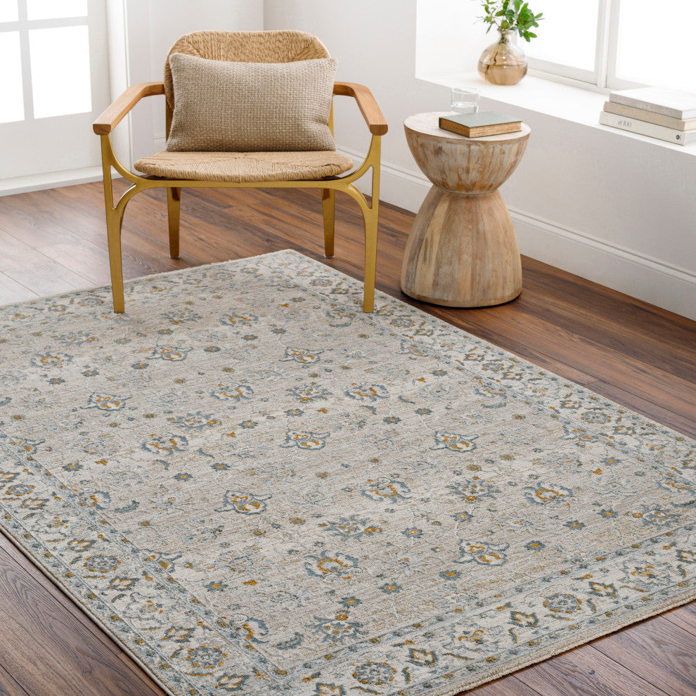 Surya Dresden DRE-2311 Machine Woven Area Rug, Taupe, 2'7" x 3'11"