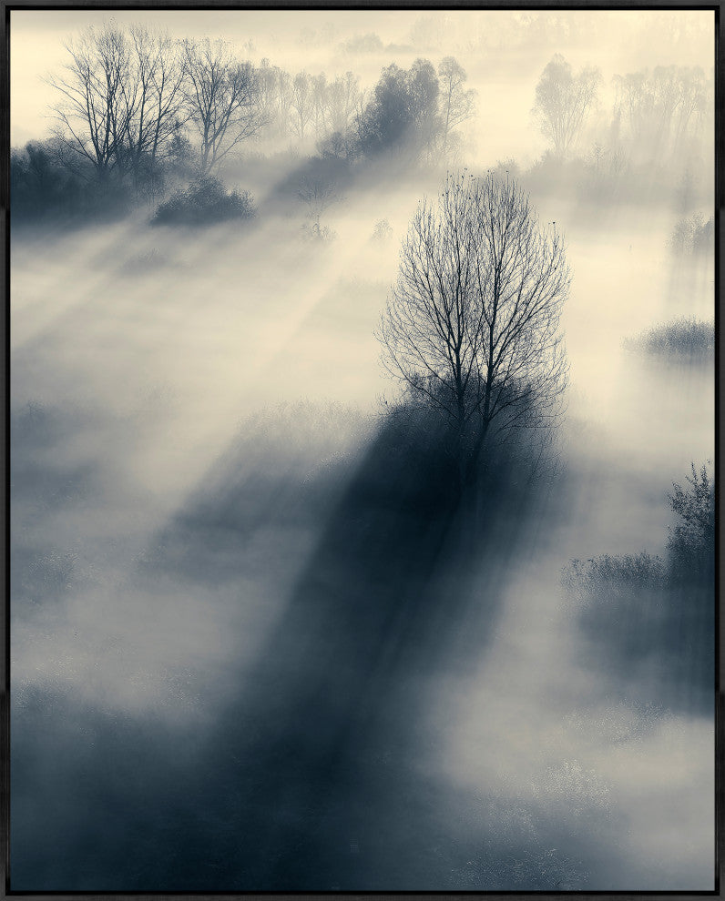 24x30 The Light, Framed Artwork, Black