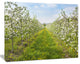 Bloomy Peach Forest Photography, Floral Canvas Art Print, 40"x30"