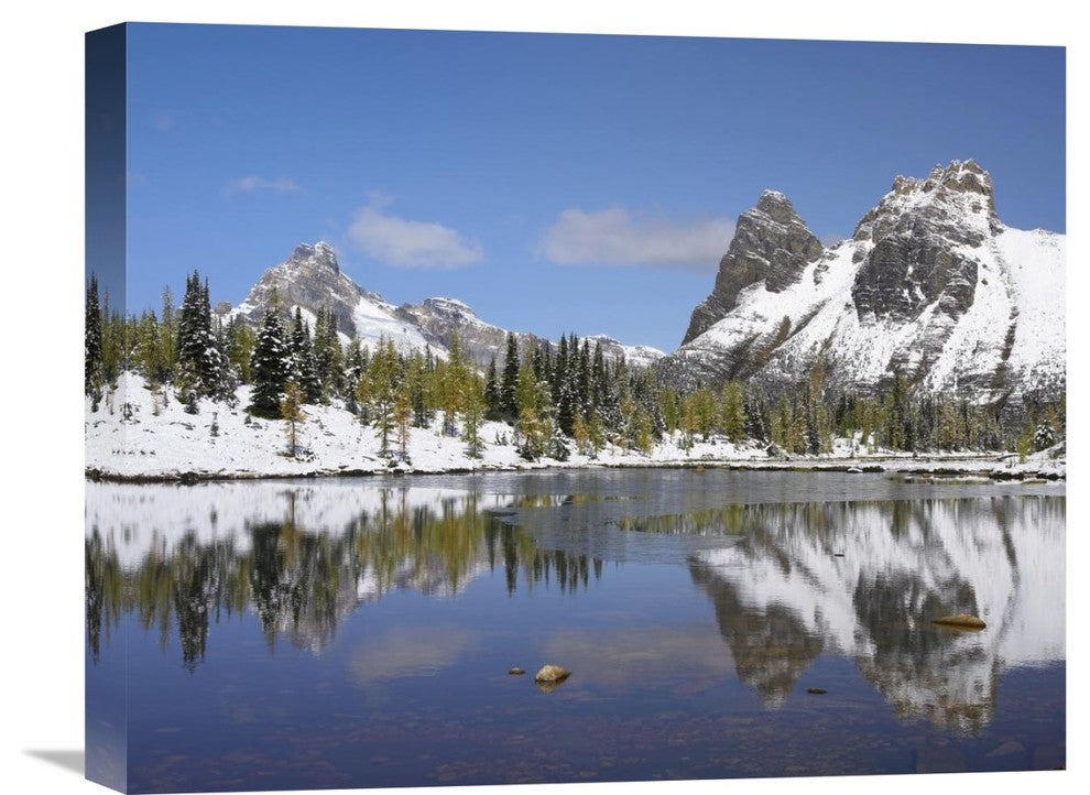 "Wiwaxy Peaks And Cathedral Mountain, Yoho National Park, BC, Canada" Artwork