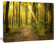 Sunset in Green Autumn Forest, Modern Forest Canvas Art, 40"x30"