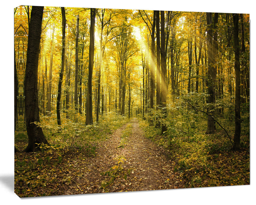 Sunset in Green Autumn Forest, Modern Forest Canvas Art, 40"x30"