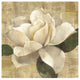 "Gardenia Blossom on Script" Digital Paper Print by Albena Hristova, 26"x26"
