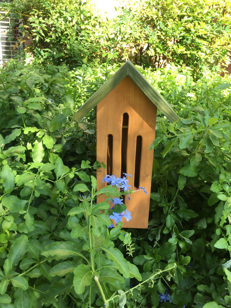 Handcrafted Honey Butterfly House