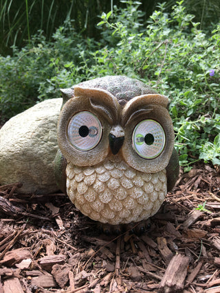 6" Solar Owl