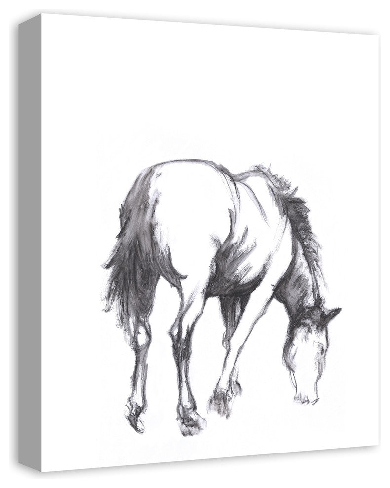 "Grazing Horse Sketch" Canvas Wall Art, 16"x20"