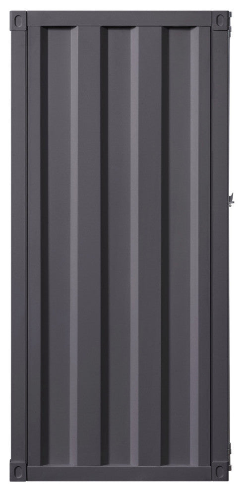 Metal Frame Chest With Single Door, Gunmetal Finish