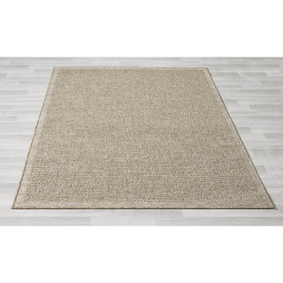 Paolo Modern Solid Brown Indoor Outdoor Area Rug, 2' x 3'