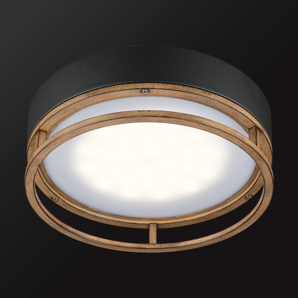 Ray Black 18.5W Flush Mount Ceiling Light
