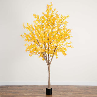 Full tree presented on a clean white background (primary product image).