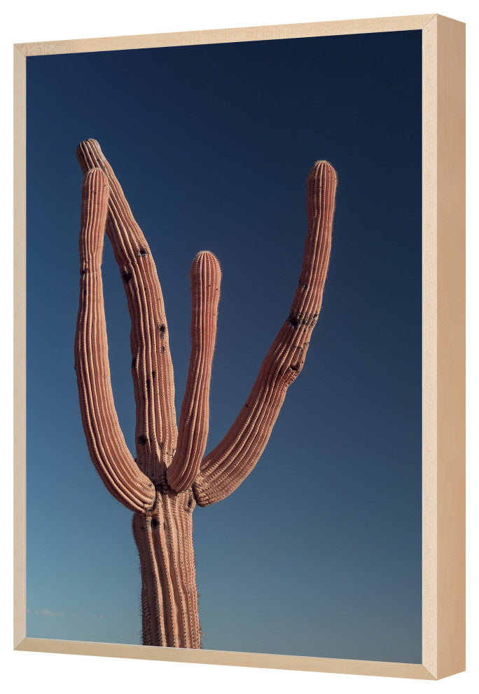 Phoenix, Arizona 14 Fine Art Print, Maple, 45"x31"