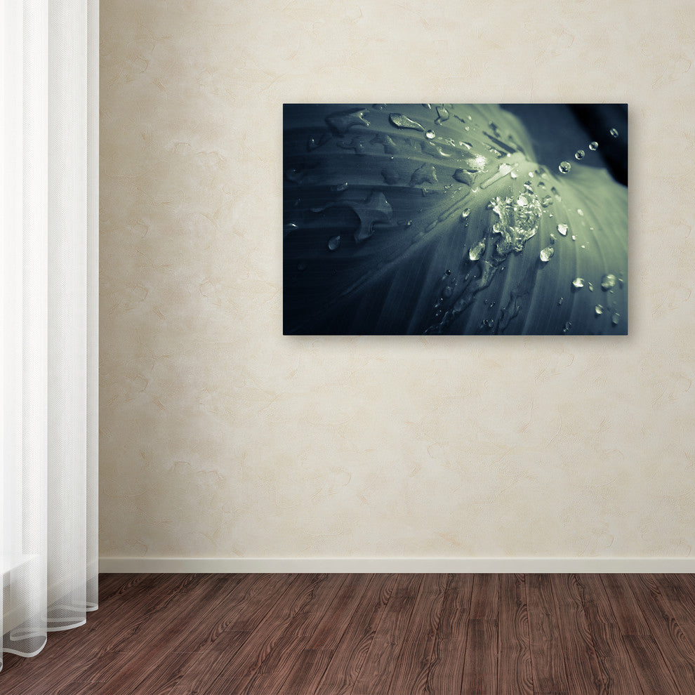 PIPA Fine Art ''Rain Dropping on Canna Leaf'' Canvas Art, 24x16