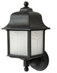 Decorative Outdoor Energy Saving Orchid Up Fixture Black Frosted Lens