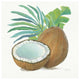 "Coconut Palm III" Digital Paper Print by Mary Urban, 38"x38"