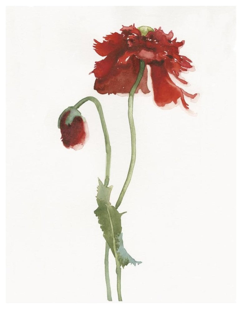 "Red Somniferum" Digital Paper Print by Shirley Novak, 20"x26"