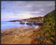 Ice Plant Growing On Cliffs At Bean Hollow Beach, California, 24"x20"