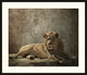 Lion Still Life, Giclee Reproduction Artwork