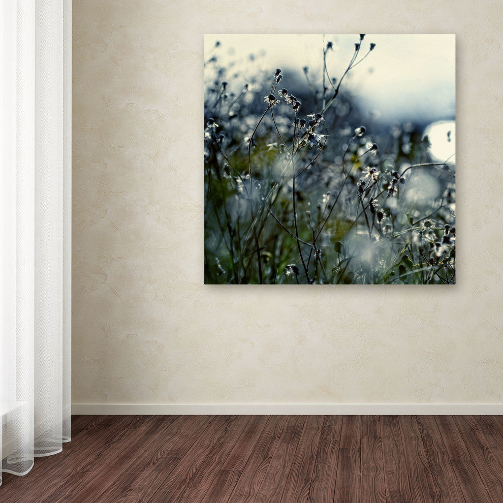 'In Silence' Canvas Art by Beata Czyzowska Young
