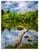 "Boyana Lake in Sofia Bulgaria" Art Print Canvas, 3 Panels, 28"x36"
