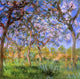 Claude Oscar Monet Giverny in Springtime, Gallery Wrapped Canvas, 20"x20"