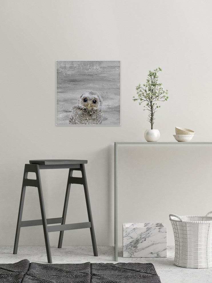 "Snow Owl" Floater Framed Painting Print on Canvas, 16"x16"