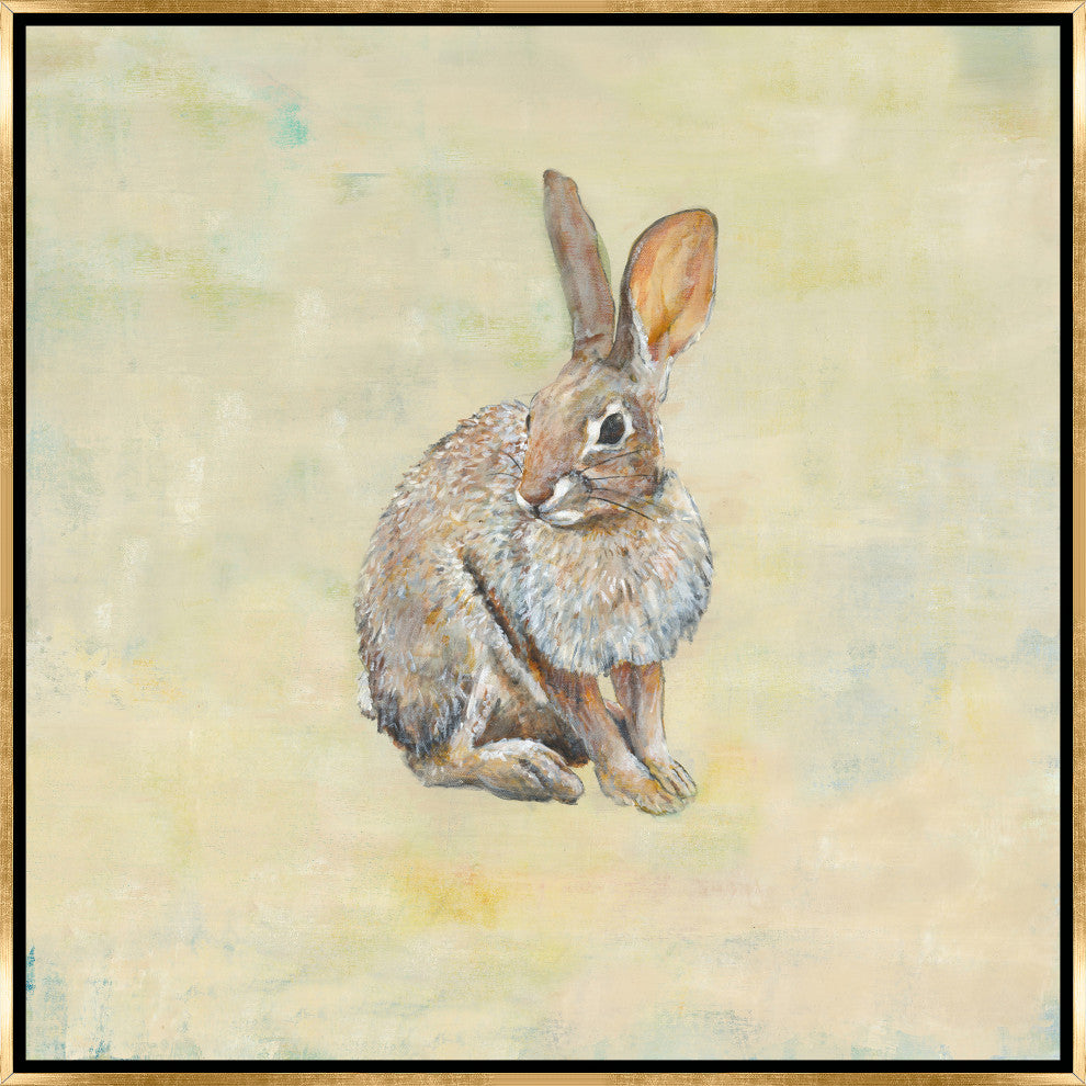 36x36 Cottontail, Framed Artwork, Gold