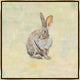 36x36 Cottontail, Framed Artwork, Gold