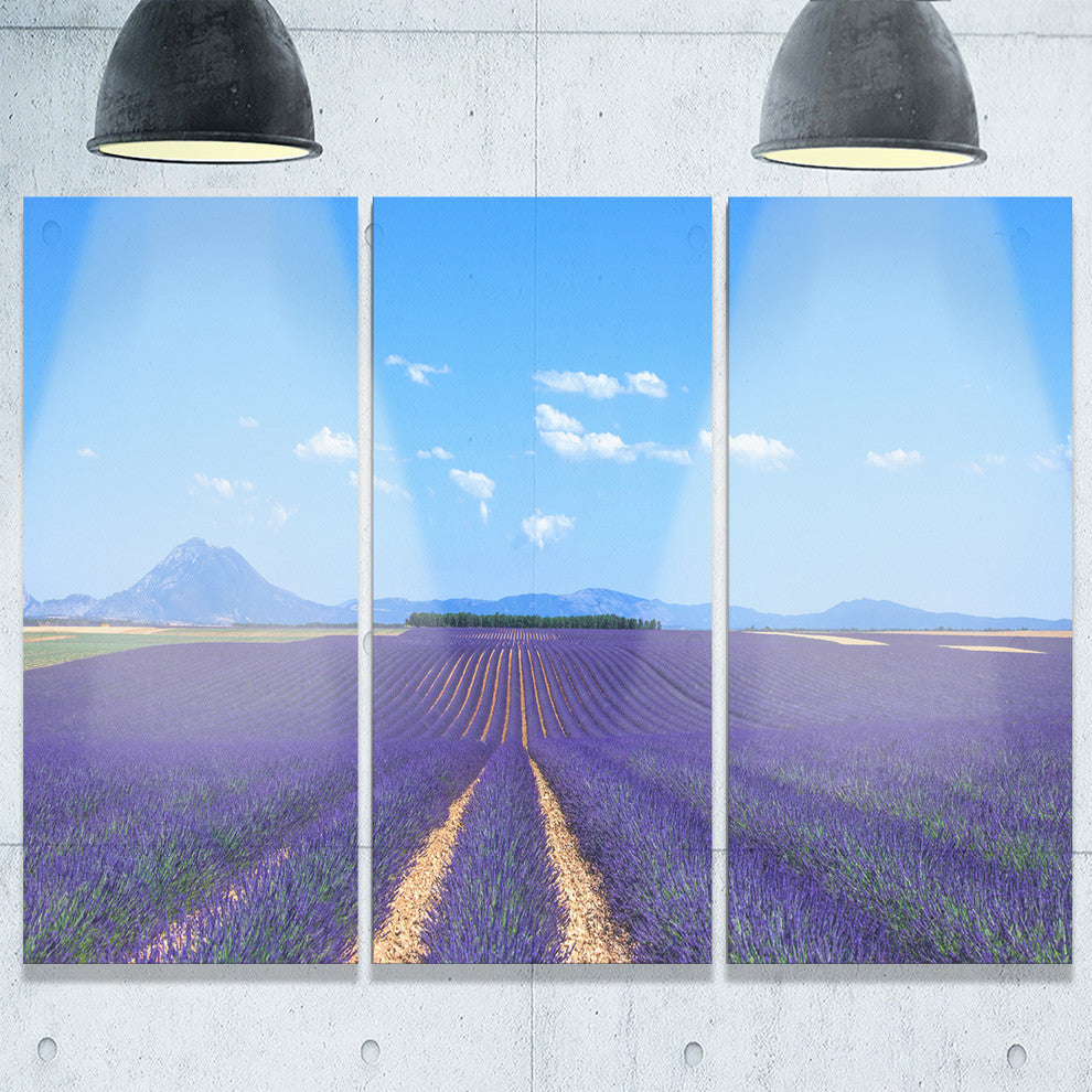"Lavender Blooming Fields and Trees" Metal Wall Art, 3 Panels, 36"x28"