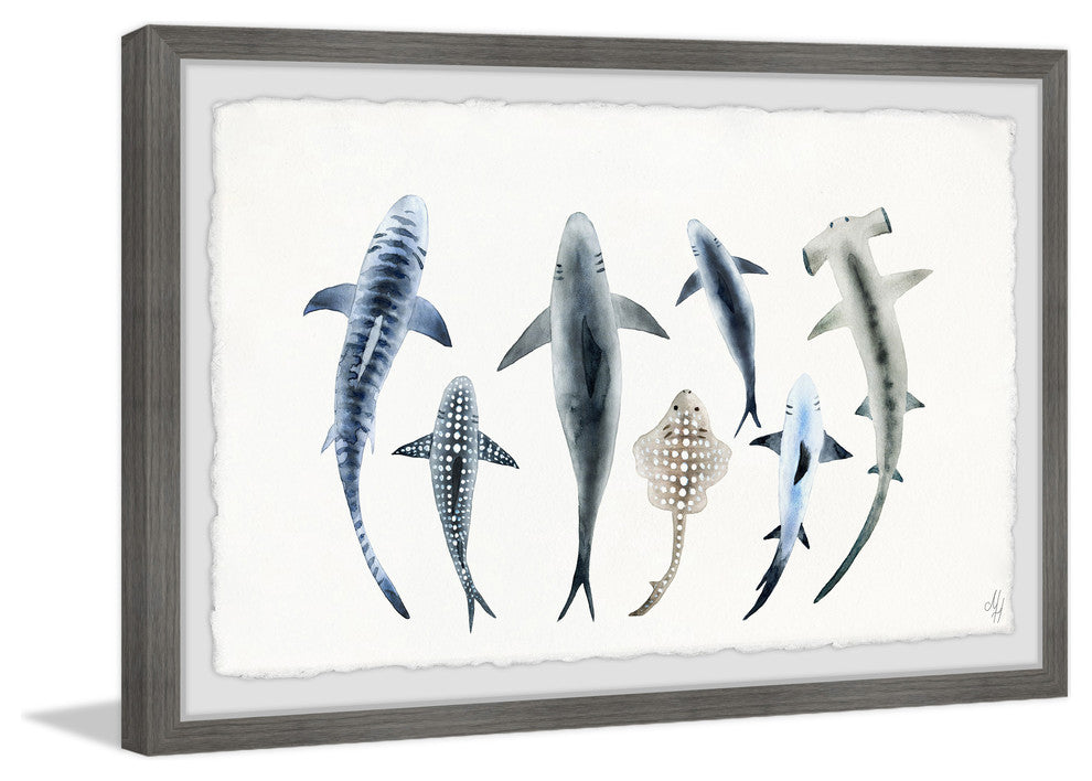 "Shark Types II" Framed Painting Print, 18"x12"