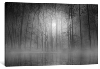 "Morning Mist" by Beth Lutz, 18x12x1.5