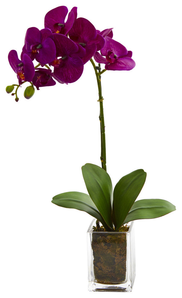 24" Orchid Phalaenopsis Artificial Arrangement in Vase