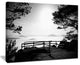 "Full Moon Autumn Midnight in Black" Landscape Canvas Photo Print, 20"x12"
