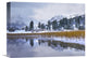 "Reeds-Frozen Surface Of June Lake, Eastern Sierra Nevada, California" Artwork