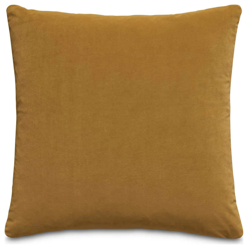 Gemma 21" Velvet Throw Pillow, Set of 2, Coin