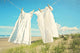 "In the Breeze" by Sylvia Cook Painting Print Wrapped Canvas, 24x16