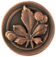 Horse Chestnut Knob Antique Brass, Antique Copper