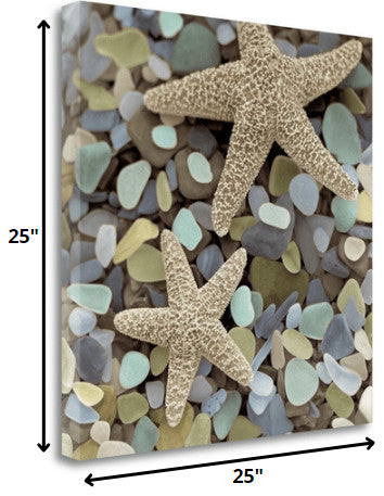 11" Two Starfish and Seaglass 2 Giclee Wrap Canvas Wall Art