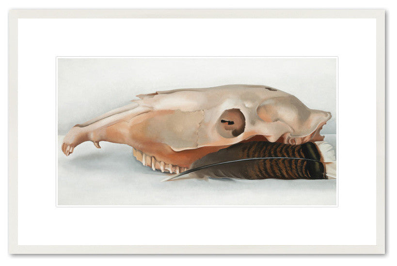 Horizontal Horse's or Mule's Skull with Feather, 1936