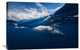 "Humpback Whale And The Sky" Canvas by Barathieu Gabriel, 36x24"