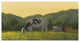 "Farm Life III" Digital Paper Print by James Wiens, 38"x20"