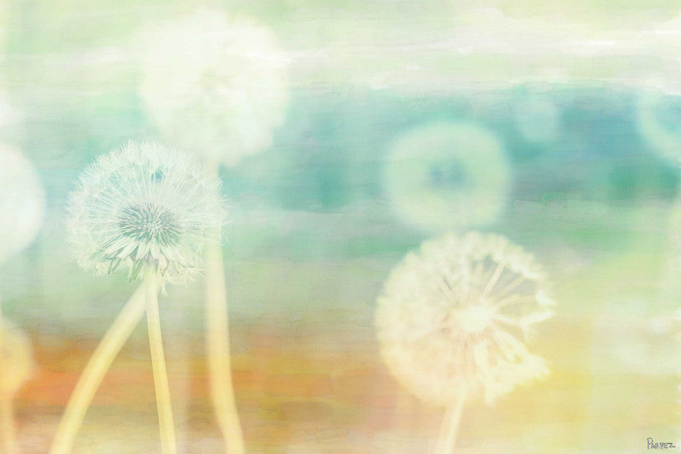 "Mix Dandy" Fine Art Canvas Print, 24"x16"