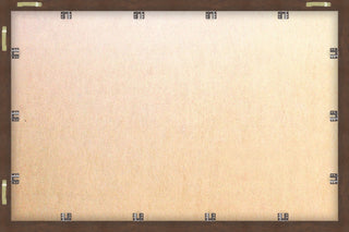 "Louisiana State Overview" Framed Painting Print, 30x20