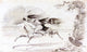 Alfred Jacob Miller The Pursuit, 18"x27" Wall Decal Print