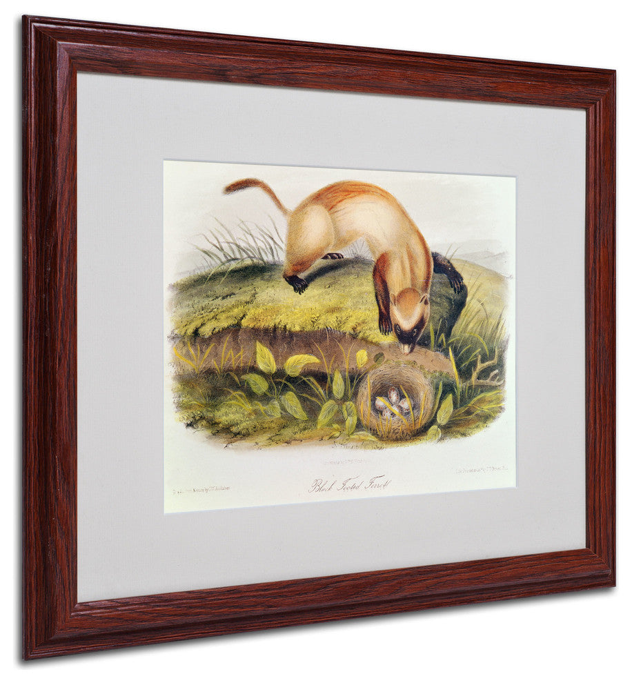 'Black-Footed Ferret' Matted Framed Canvas Art by John James Audubon