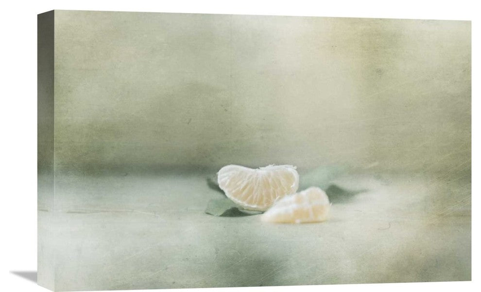 "Vintage Tangerine" Stretched Canvas Giclee by Delphine Devos, 22x15"