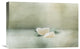 "Vintage Tangerine" Stretched Canvas Giclee by Delphine Devos, 22x15"