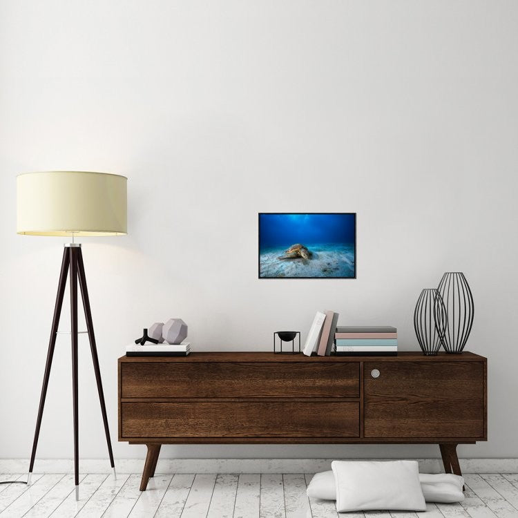 "Green Turtle In The Blue" Framed Canvas Giclee by Barathieu Gabriel, 23x16"