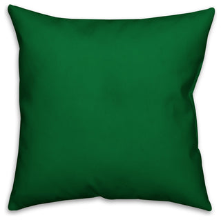Designs Direct Leprechaun Lingo 18x18 Throw Pillow