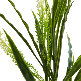White background with cropped close-up of plant stems/leaves; does not show the full plant.