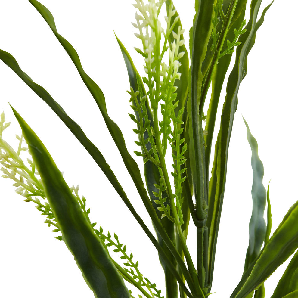 White background with cropped close-up of plant stems/leaves; does not show the full plant.